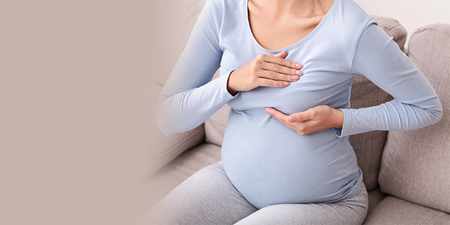 Pregnancy - Pregnancy Care - Breast Changes